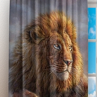 Фотошторы «Величественные львы» вид 3