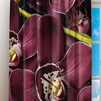 Фотошторы «Орхидеи и капли воды» вид 3