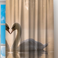 Фотошторы «Влюбленные лебеди» вид 2