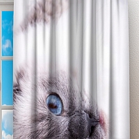 Фотошторы «Голубоглазая кошка» вид 2