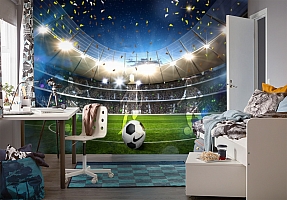 3D Фотообои «Стадион в Бразилии»
