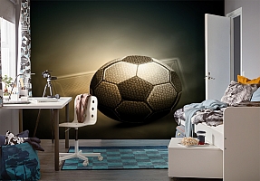 3D Фотообои «Футбольный мяч»