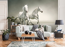 3D Фотообои «Белые лошади на сером фоне»