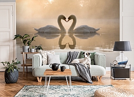 3D Фотообои «Влюбленные лебеди»