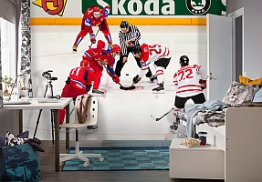 3D Фотообои  «Хоккей» 