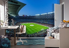 3D Фотообои  «Стадион» 