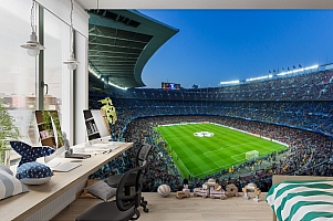 3D Фотообои  «Стадион» 