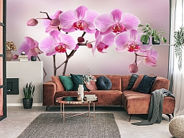 3D Фотообои «Розовая орхидея над водой»