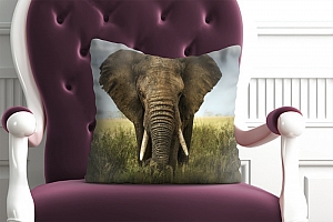 3D Подушка «Слон» вид 5
