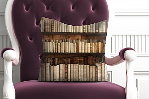 3D Подушка «Уникальная библиотека» вид 3