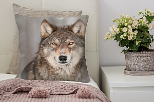 3D Подушка «Взгляд волка» вид 3