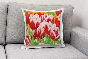 3D Подушка «Красивые тюльпаны» вид 3
