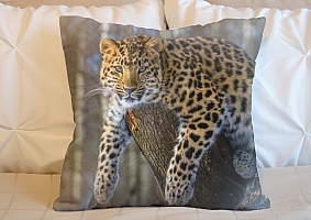 3D Подушка «Амурский леопард» вид 4