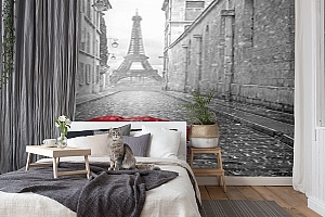 3D Фотообои «Дождь в Париже»