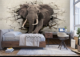 3D Фотообои  «Слон сквозь стену» 