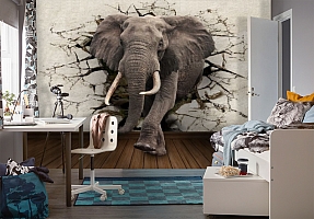 3D Фотообои  «Слон сквозь стену» 