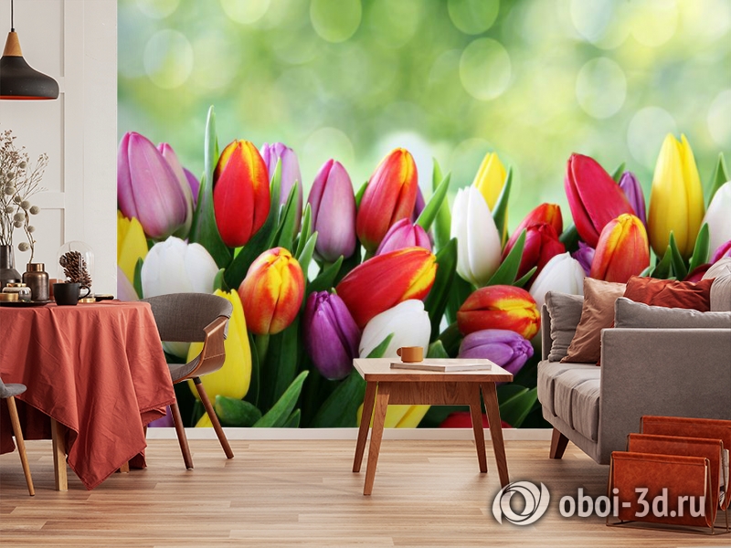 3D Фотообои «Разноцветные тюльпаны» вид 5
