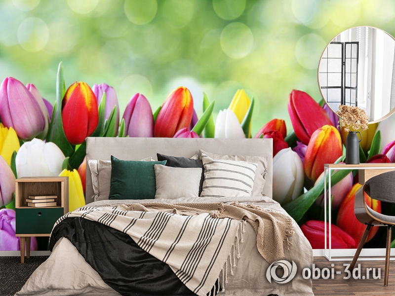 3D Фотообои «Разноцветные тюльпаны» вид 4