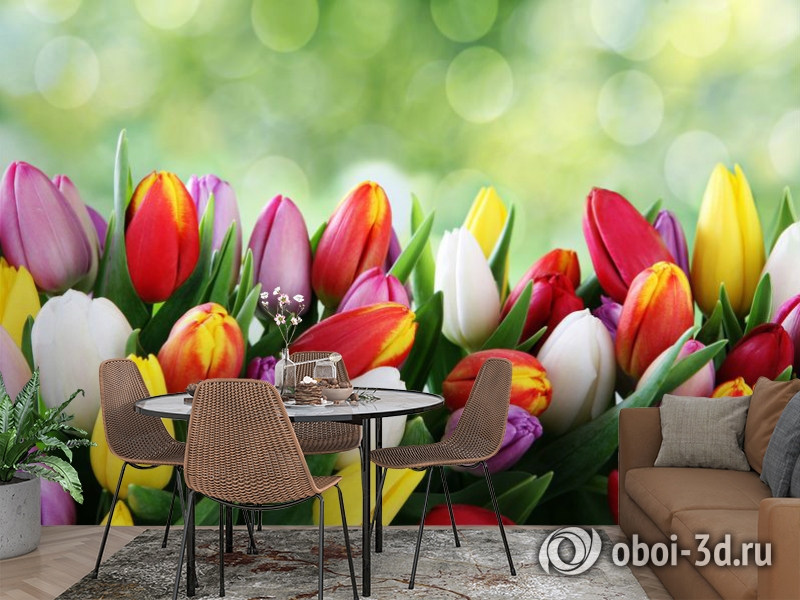 3D Фотообои «Разноцветные тюльпаны» вид 2