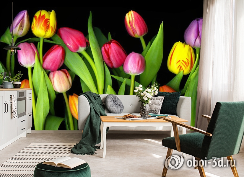 3D Фотообои «Тюльпаны на темном фоне» вид 7