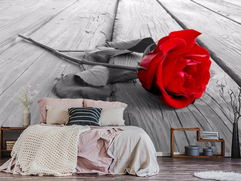 3D Фотообои «Черно белое фото с красной розой» вид 3