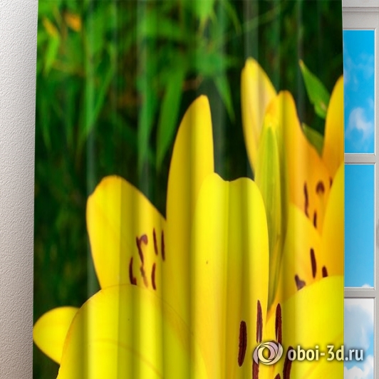 Фотошторы «Яркие желтые лилии » вид 3