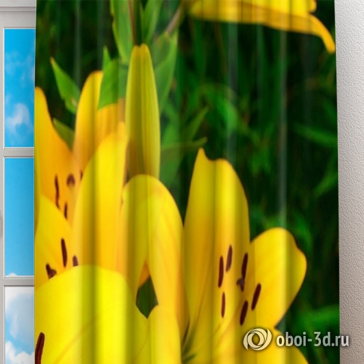 Фотошторы «Яркие желтые лилии » вид 2