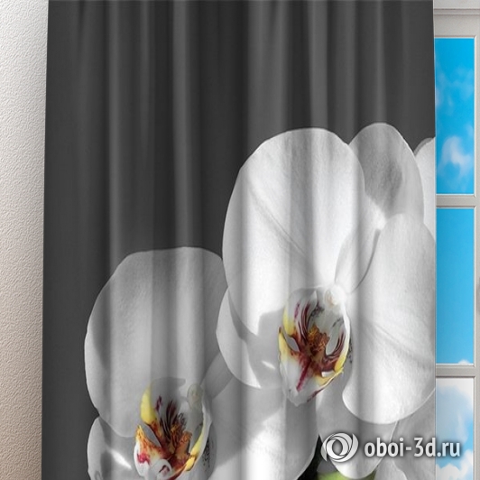 Фотошторы «Белая орхидея на сером фоне» вид 3