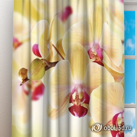 Фотошторы «Желтая орхидея» вид 3