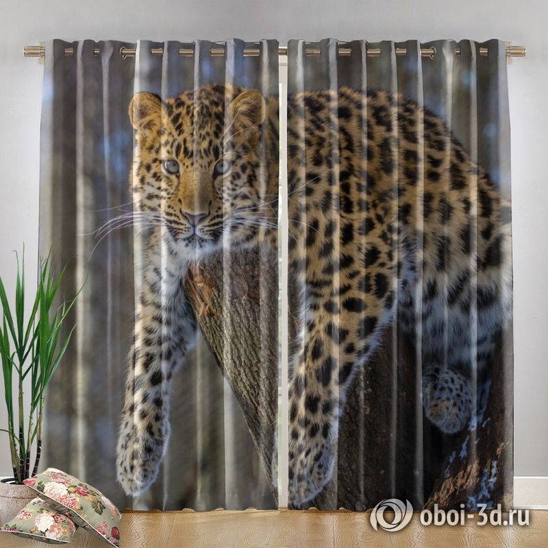 Фотошторы «Амурский леопард» вид 4