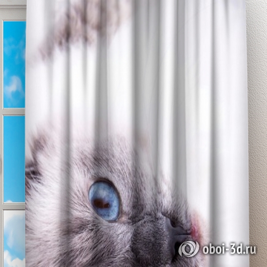 Фотошторы «Голубоглазая кошка» вид 2