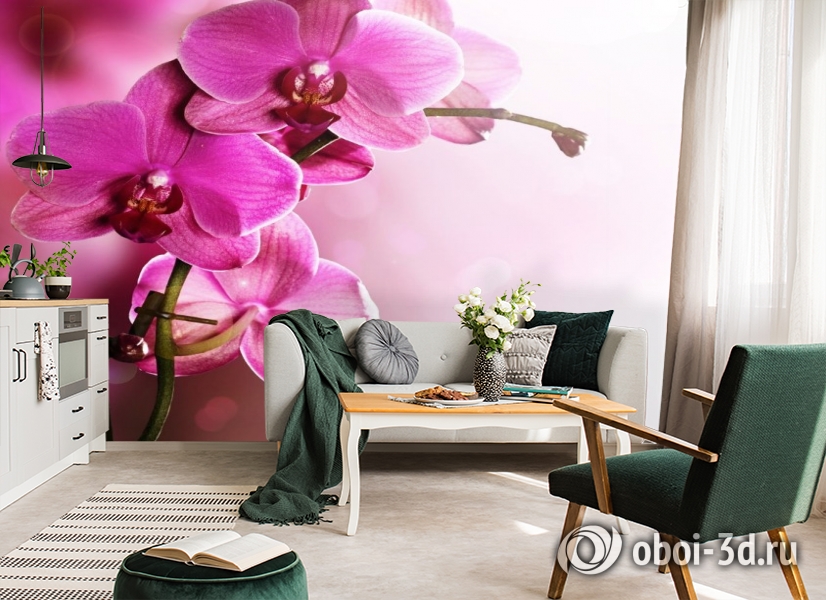 3D Фотообои «Розовая орхидея на нежном фоне» вид 7
