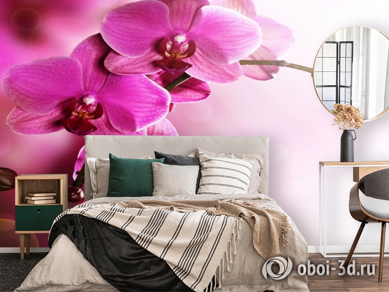 3D Фотообои «Розовая орхидея на нежном фоне» вид 4