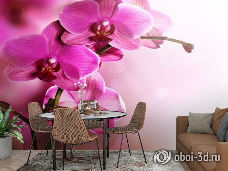 3D Фотообои «Розовая орхидея на нежном фоне» вид 2