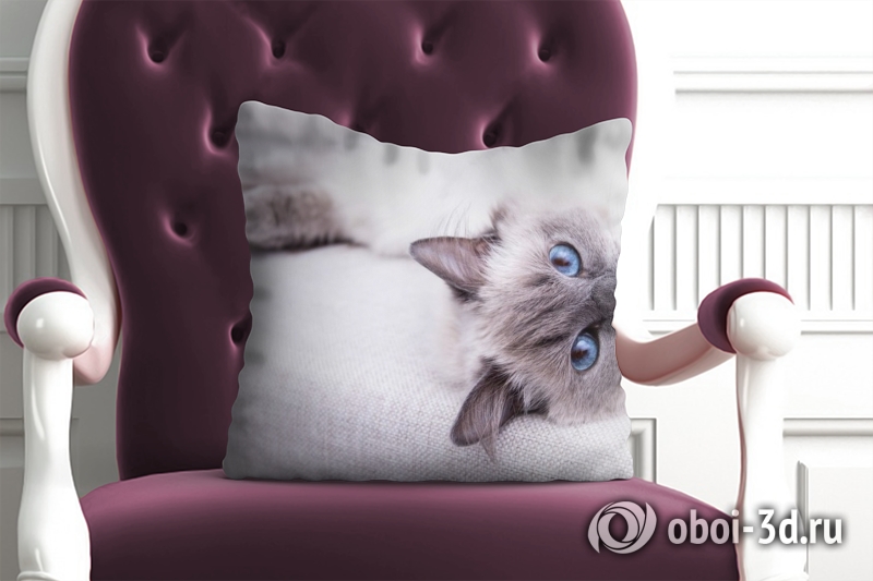 3D Подушка «Голубоглазая кошка» вид 6