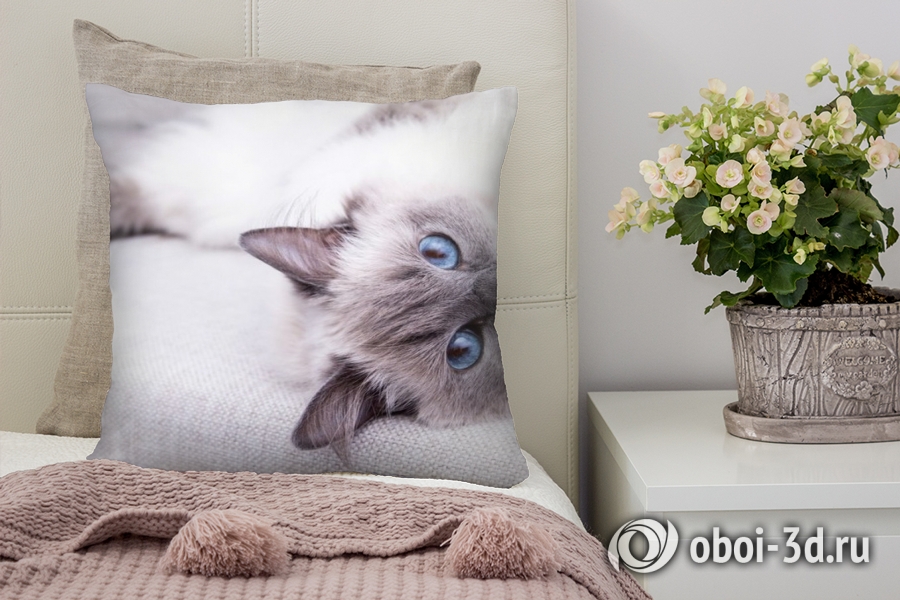 3D Подушка «Голубоглазая кошка» вид 3
