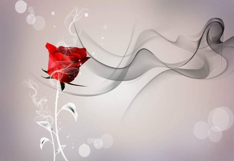 3D Фотообои 3D Фотообои «Красная роза на сером фоне»