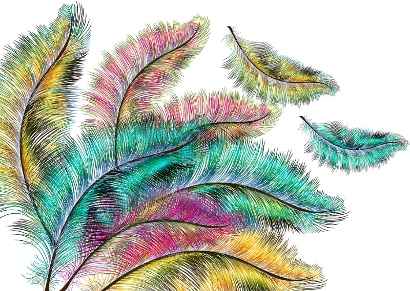 3D Фотообои 3D Фотообои «Радужные перья»