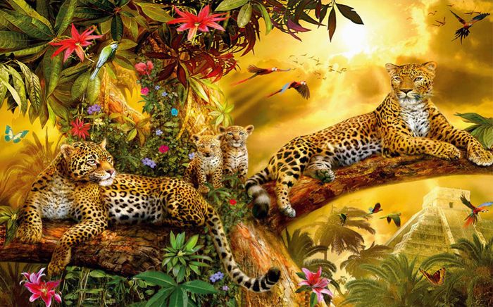 3D Фотообои «Семья леопардов» вид 1