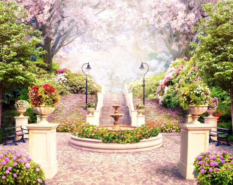 3D Фотообои «Фонтан в цветущем парке» вид 1